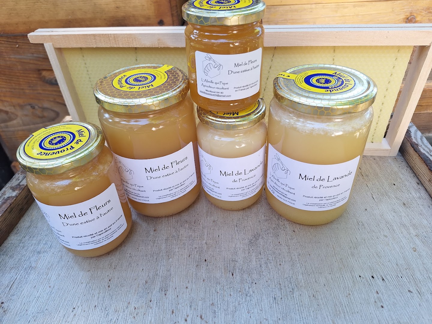 L'Abeille qui pique — photo 1