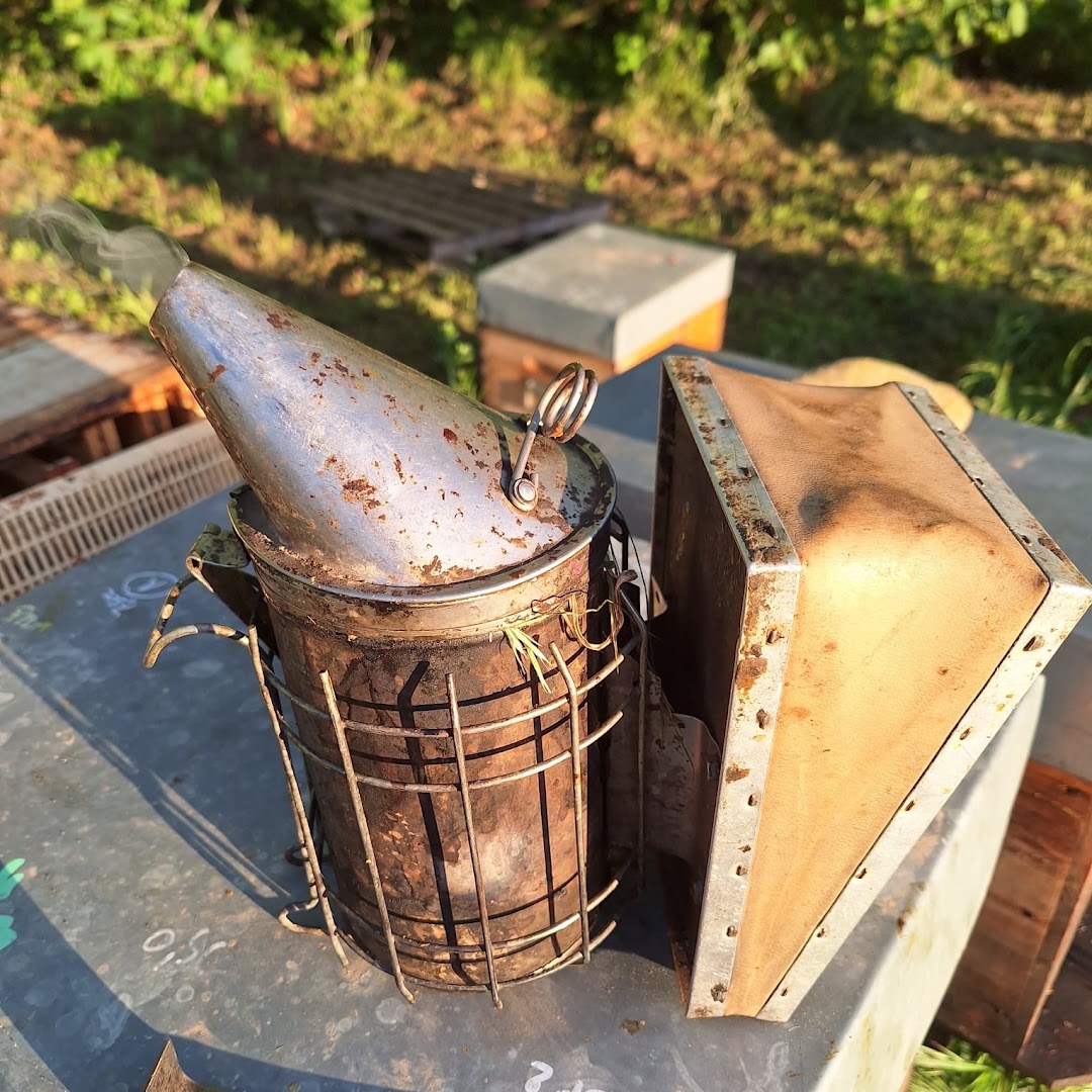 L'Abeille qui pique — photo 4